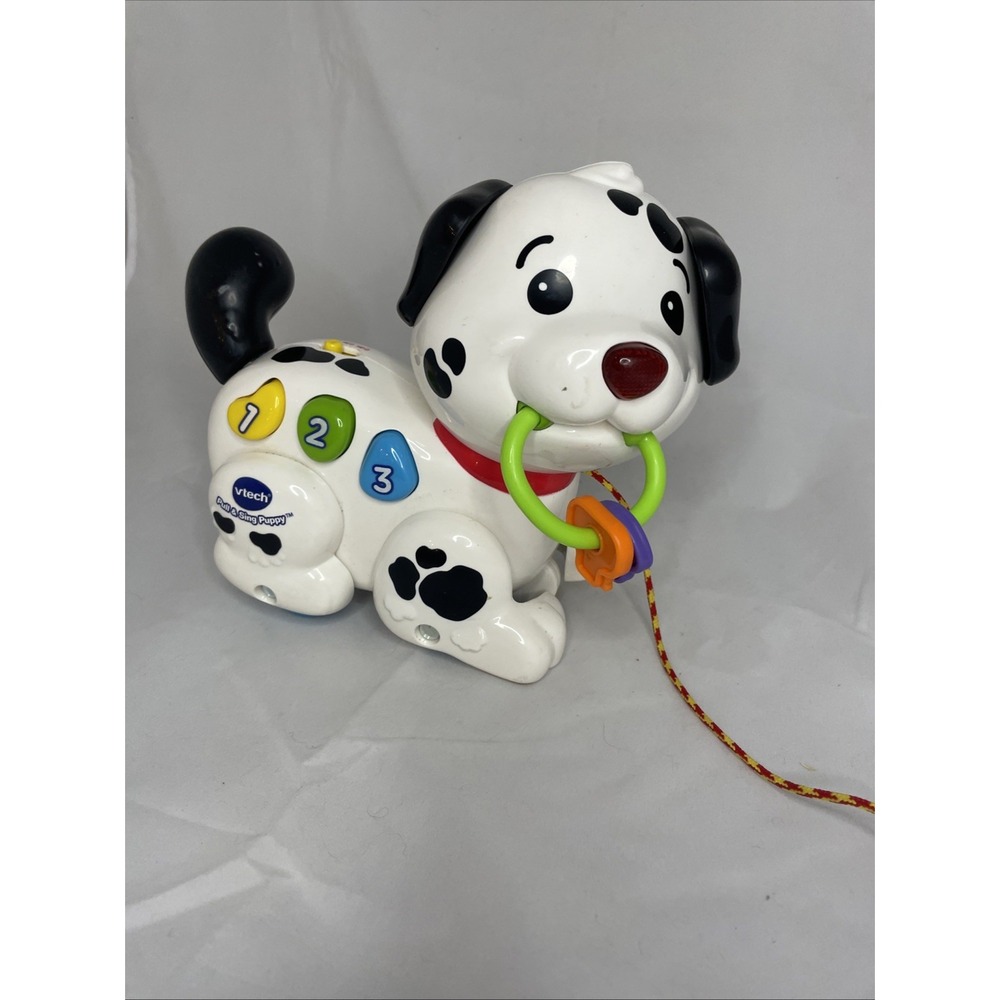 VTech Pull and Sing Puppy Toy 6-36 Months